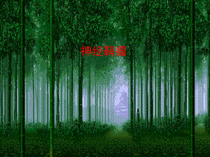 医学神经鞘瘤.ppt