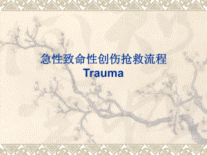 急性创伤的诊断、治疗原则及抢救流程.ppt