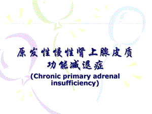医学资料慢性肾上腺皮质功能减退症.ppt