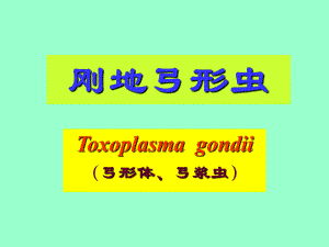 【预防医学】e寄生虫学第十三讲（弓形虫） .ppt