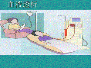 什么是血液透析.ppt