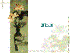 [高等教育]高血压脑出血护理查房.ppt
