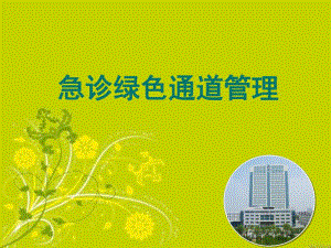 急诊绿色通道的管理精要.ppt