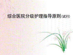 护理系综合医院分级护理指导原则.ppt