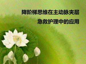 急诊降阶梯思维.ppt