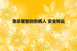 急诊重型创伤病人 安全转运.ppt