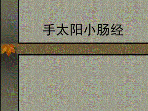 手太阳小肠经.ppt