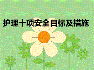 护理十项安全目标及措施.ppt