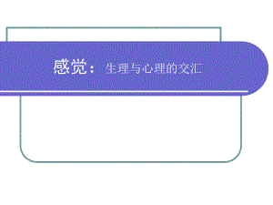 感觉和知觉（一）.ppt感觉和知觉：人如何认识这个世界.ppt