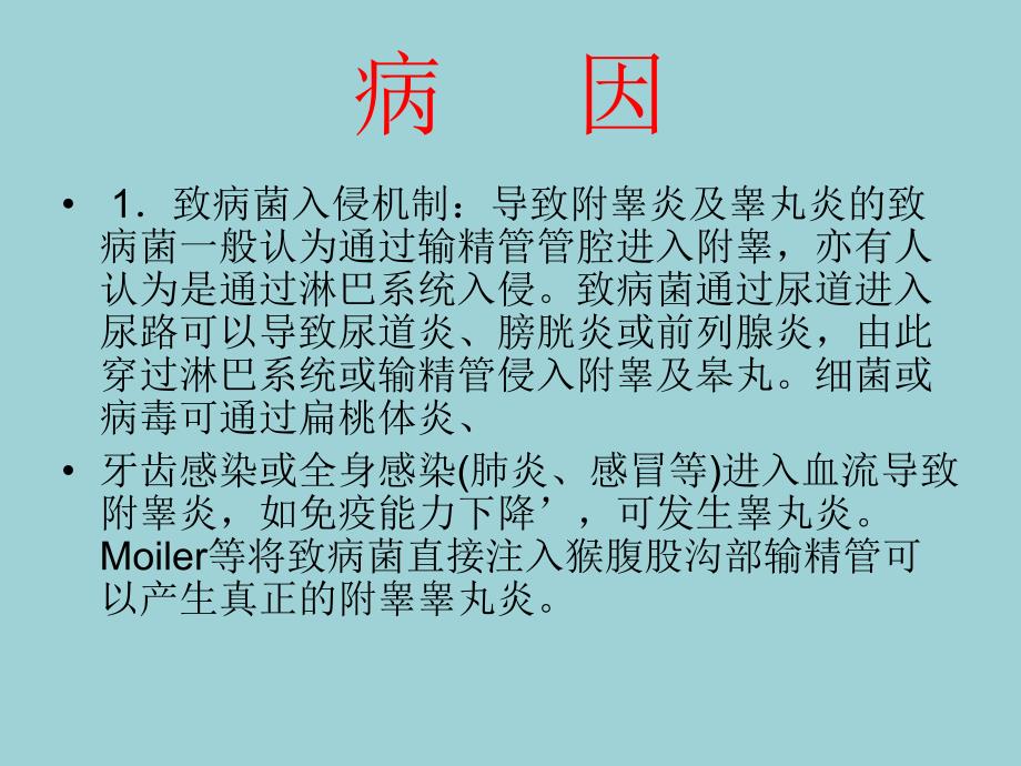 急性附睾炎..ppt_第2页