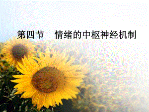 情绪的中枢神经机制.ppt
