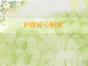 护理核心制度.ppt.ppt