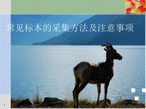 标本的采集方法.ppt
