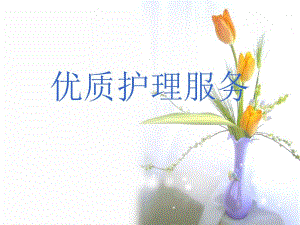 护理优质服务.ppt