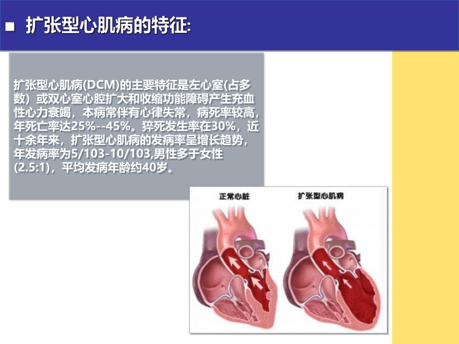 扩张型心肌病的治疗与护理.ppt_第2页