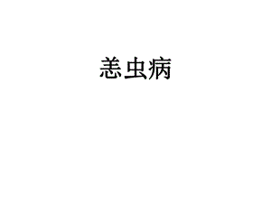恙虫病讲座.ppt