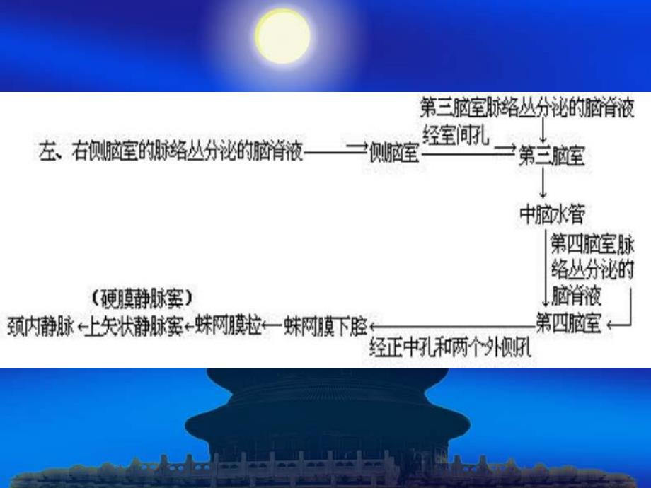 第二十一章颅脑和脊髓先天畸形..ppt_第3页