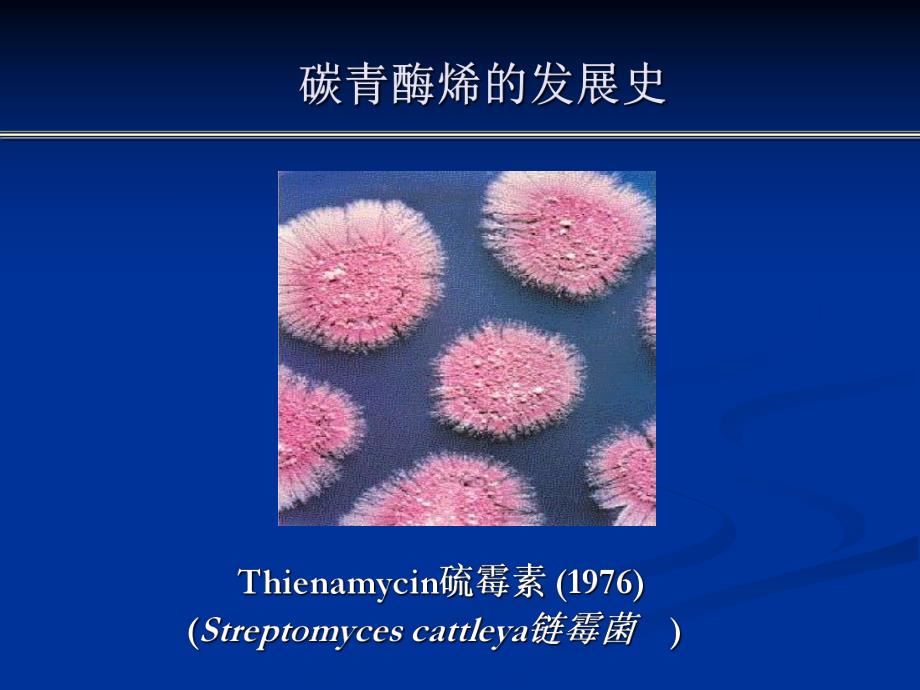 比阿培南基础与临床应用.ppt_第3页