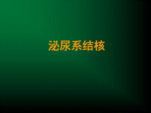 泌尿系结核.ppt