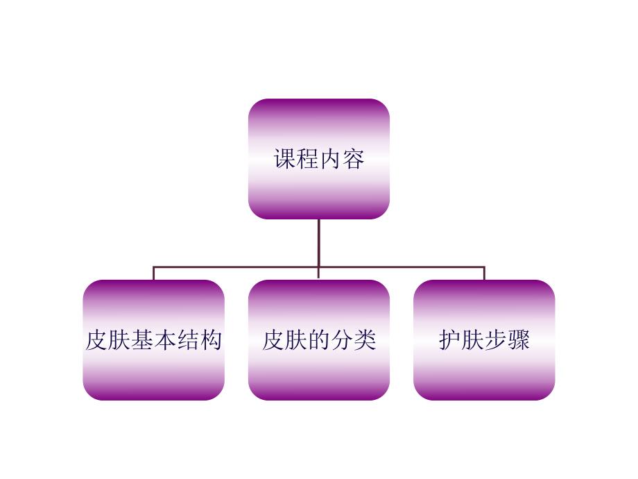 皮肤基础知识.ppt.ppt_第3页