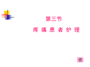 疼痛患者安全护理.ppt