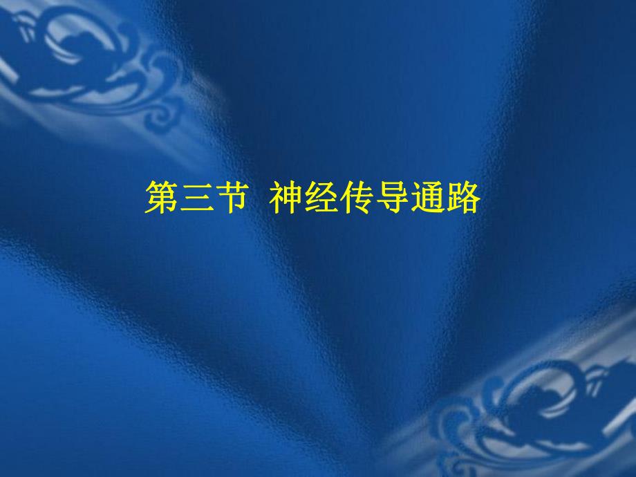 神经传导通路全解剖学.ppt_第1页