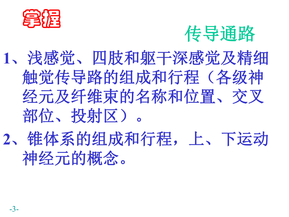 神经传导通路.ppt_第3页