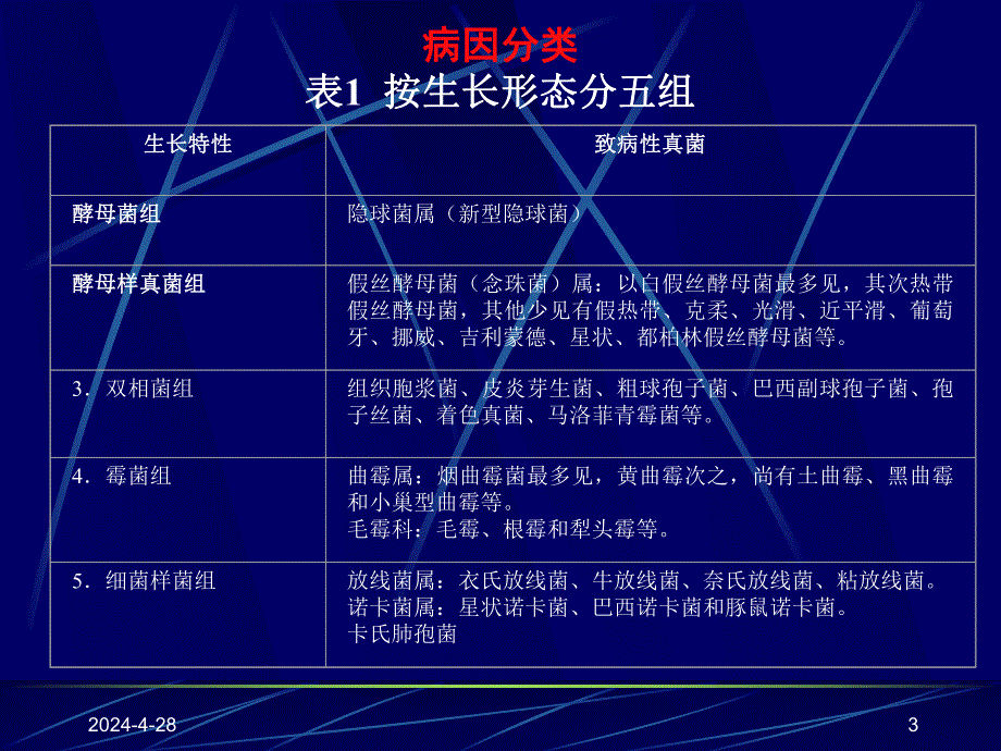 深部真菌病.ppt_第3页