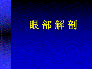 眼部解剖.ppt