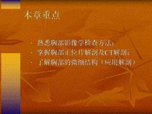 肺部检查与解剖.ppt
