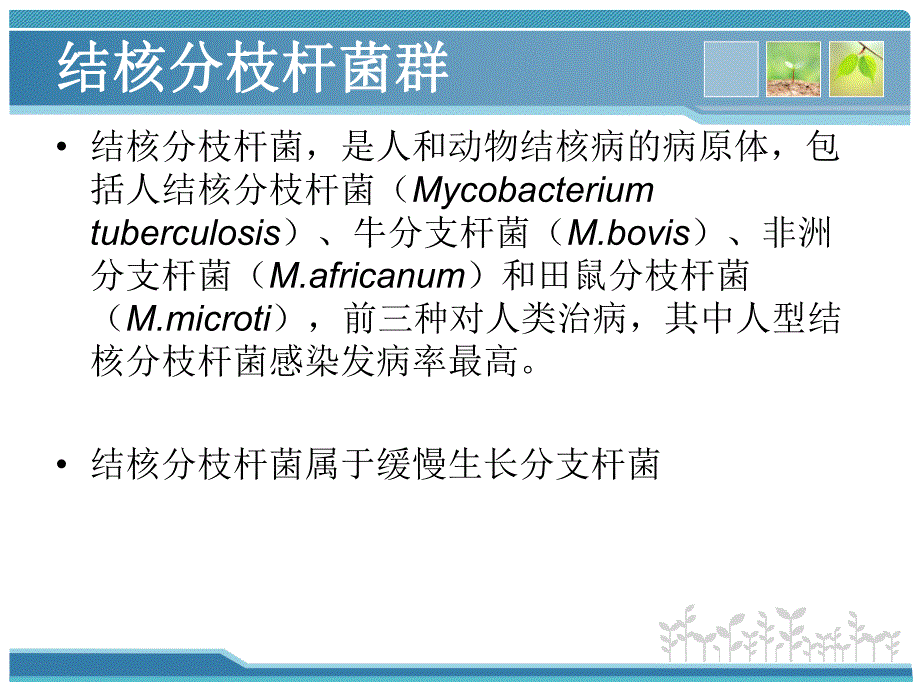 结核分枝杆菌实验室检测方法.ppt_第3页