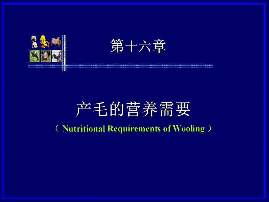 第十六章产毛的营养需要.ppt_第1页