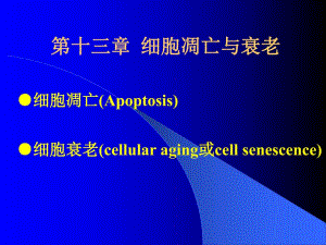细胞衰老与凋亡.ppt