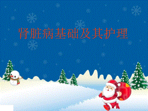 肾脏病基础及护理.ppt.ppt