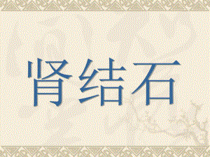 肾结石.ppt.ppt