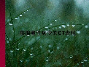 胰腺囊性病变.ppt