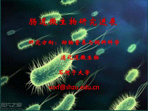 肠道微生物研究进展.ppt