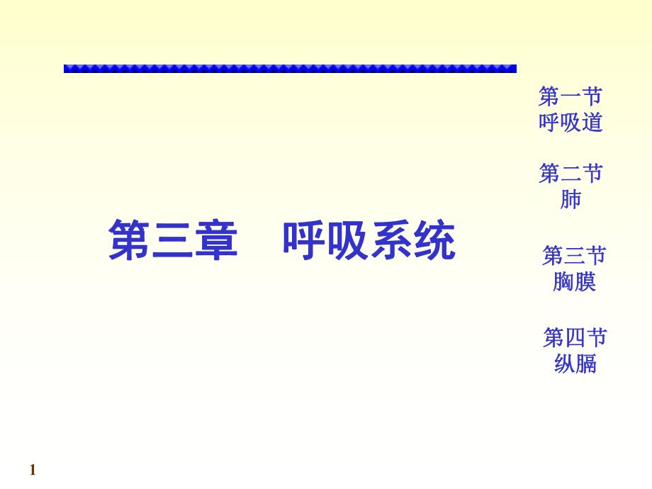 系统解剖学呼吸系统PPT.ppt_第1页