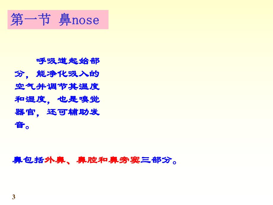系统解剖学呼吸系统PPT.ppt_第3页