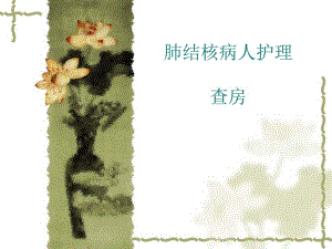 肺结核患者的护理查房.ppt