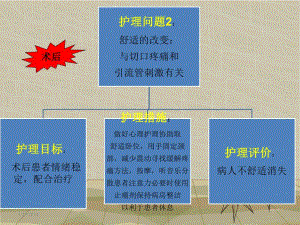 结节性甲状腺肿护理查房1.ppt