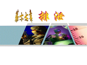 第十七章排泄排便护理解读.ppt