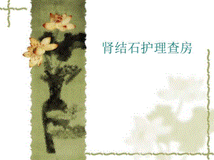 肾结石护理查房.ppt
