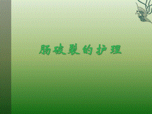 肠破裂的护理.ppt