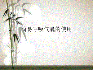 简易呼吸气囊的使用.ppt
