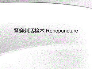 肾穿刺活检术Renopuncture..ppt
