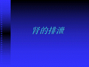 肾的排泄.ppt