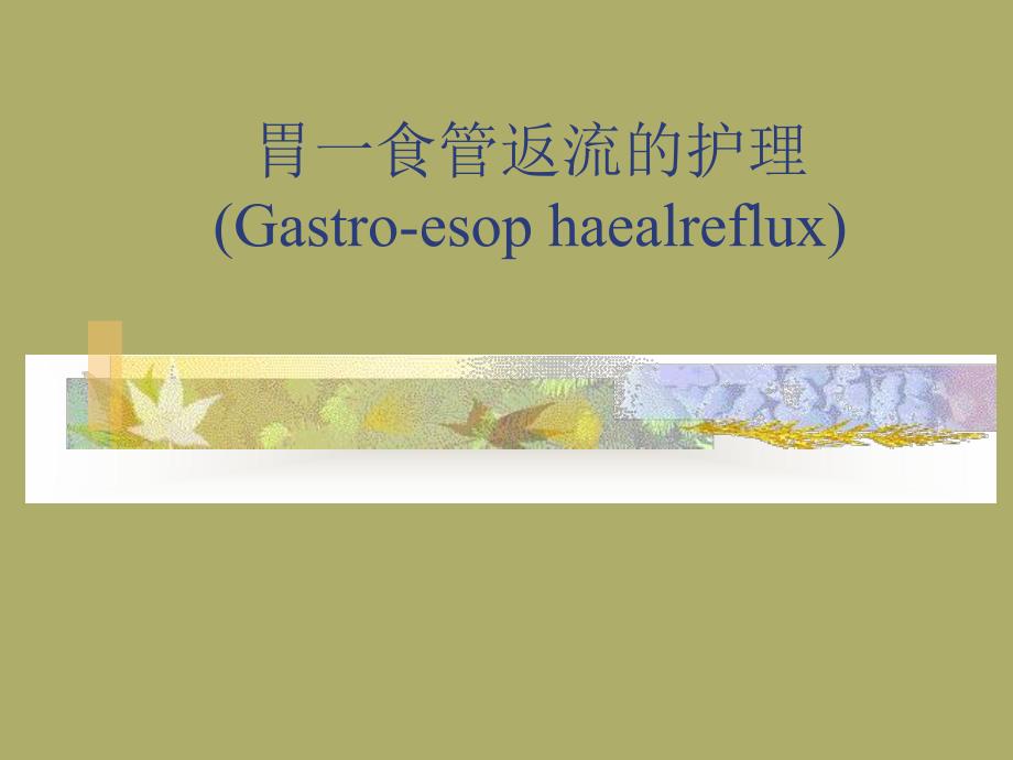 胃食管返流的护理新生儿病房.ppt_第1页