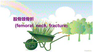 股骨颈骨折护理.ppt