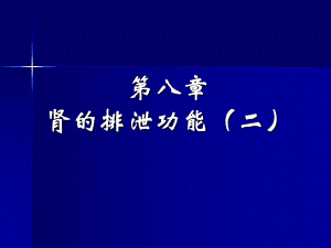 肾的排泄功能ppt.ppt
